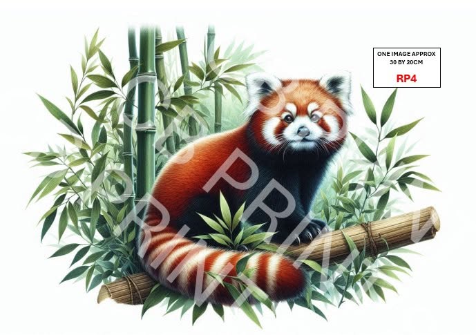 Red Panda Decoupage Paper Print RP4 | Mulberry Paper | CB Paper Prints