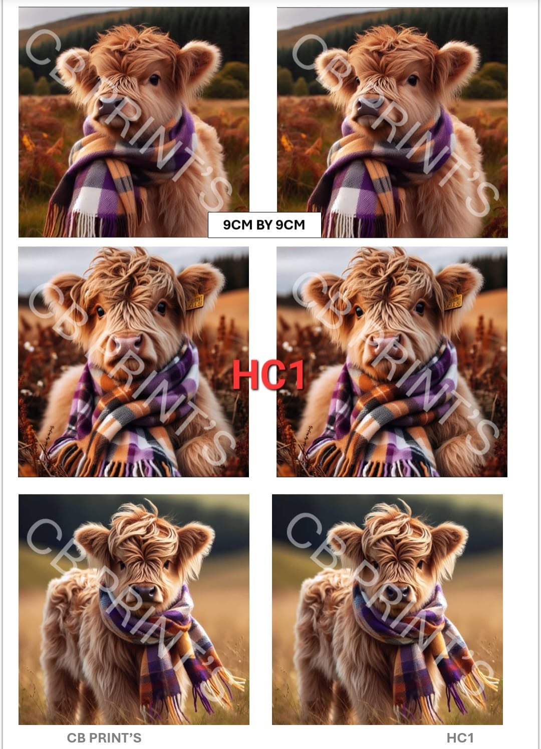Highland Cow Decoupage Print HC1 | Mulberry Paper