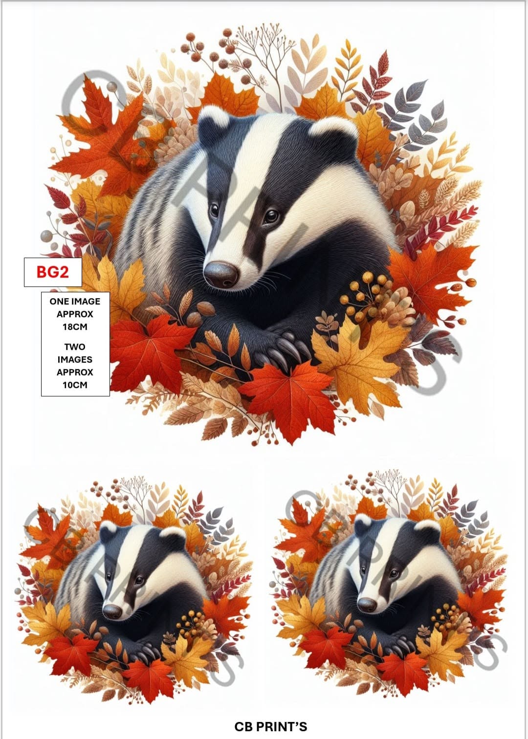 Badger Decoupage Print BG2 | Mulberry Paper