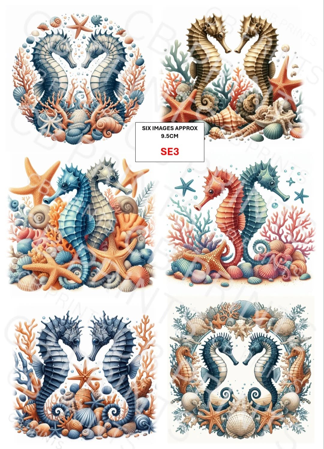 Seahorse Decoupage Paper Print SE3 – Beach Mulberry Paper