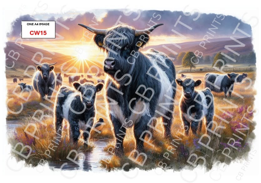 Belted Galloway Cow Decoupage Paper Print CW15 | Mulberry Paper