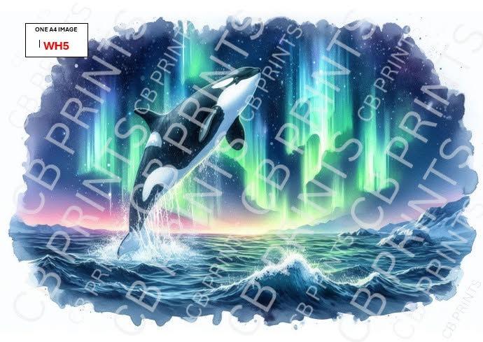 Whale Decoupage Paper Print WH5 – Beach Mulberry Paper