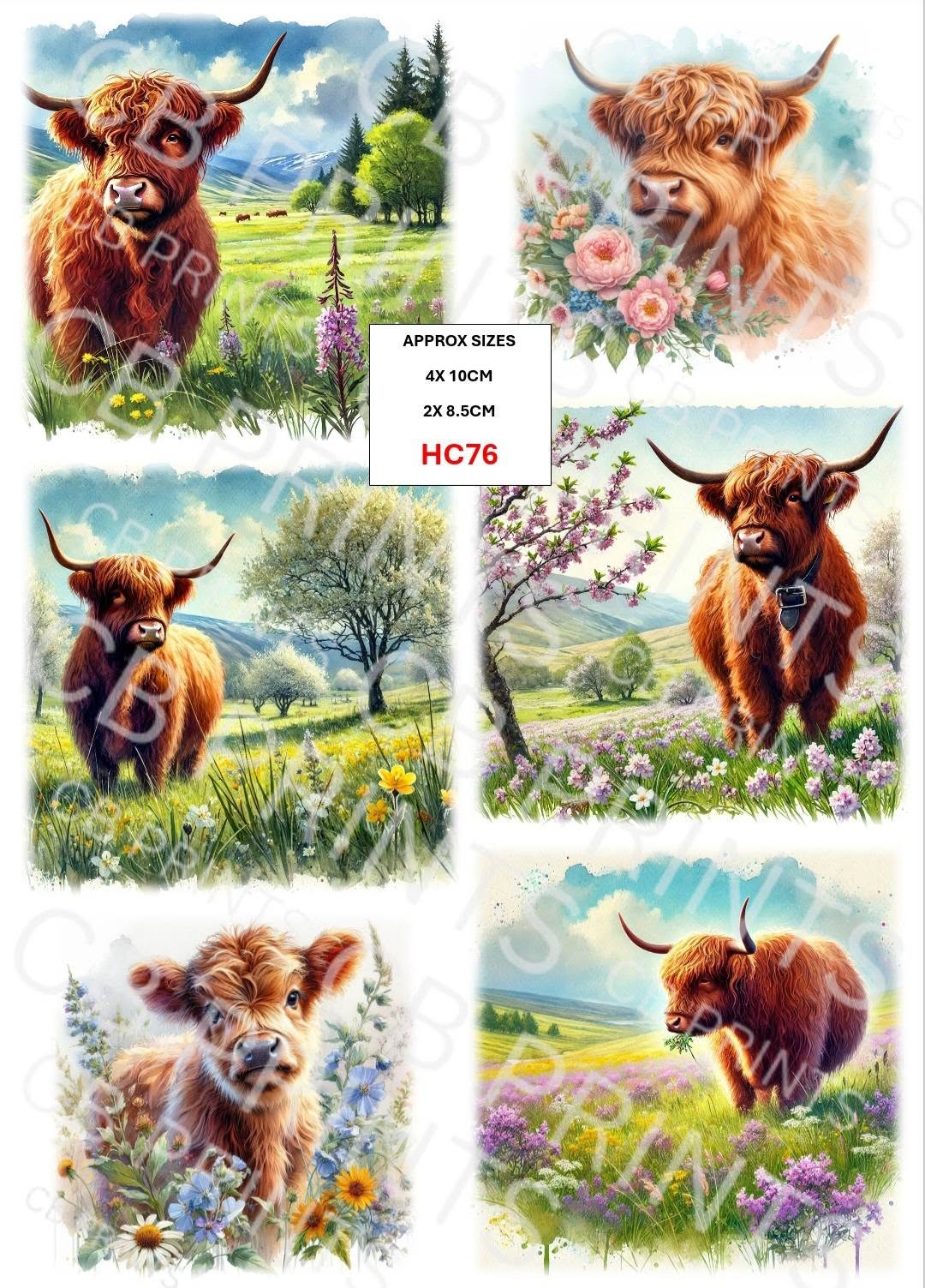 Highland Cow Decoupage Print HC76 | Mulberry Paper