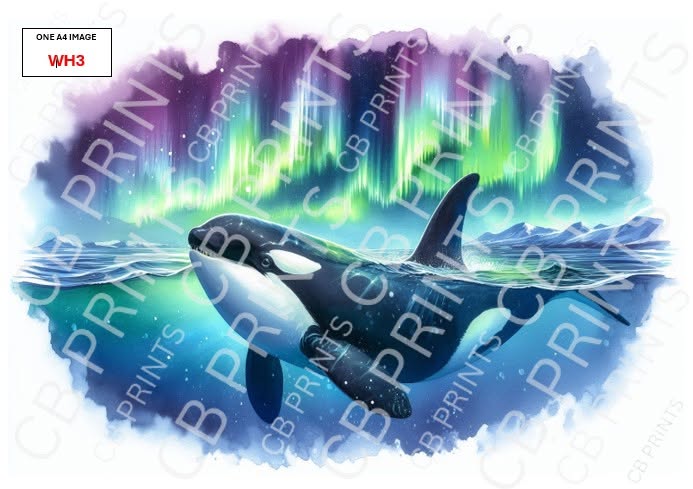 Whale Decoupage Paper Print WH3 – Beach Mulberry Paper