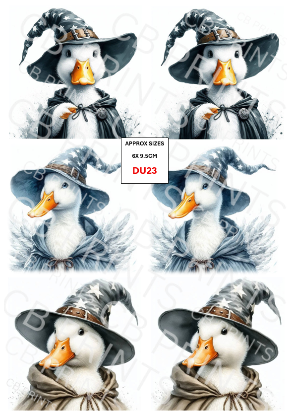 Funny Duck Decoupage Paper DU23 – Mulberry Paper Print