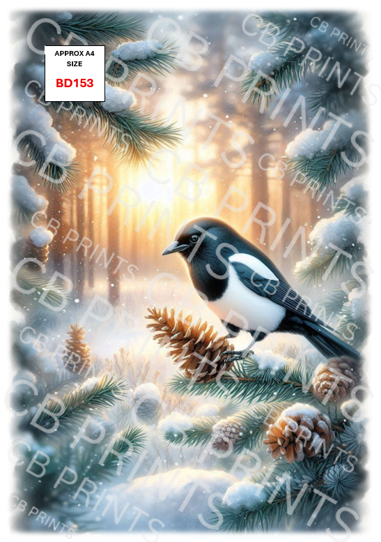 Magpie Bird Decoupage Print BD153 | Mulberry Paper