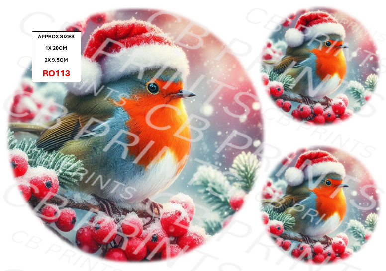 Robin Decoupage Print RO113 | Mulberry Paper