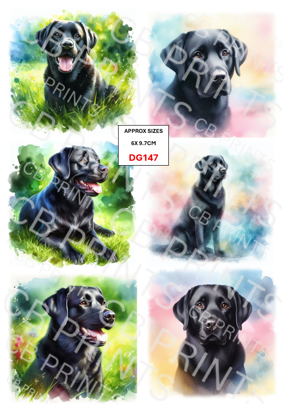 Labrador Dog Decoupage Print DG147 | Mulberry Paper