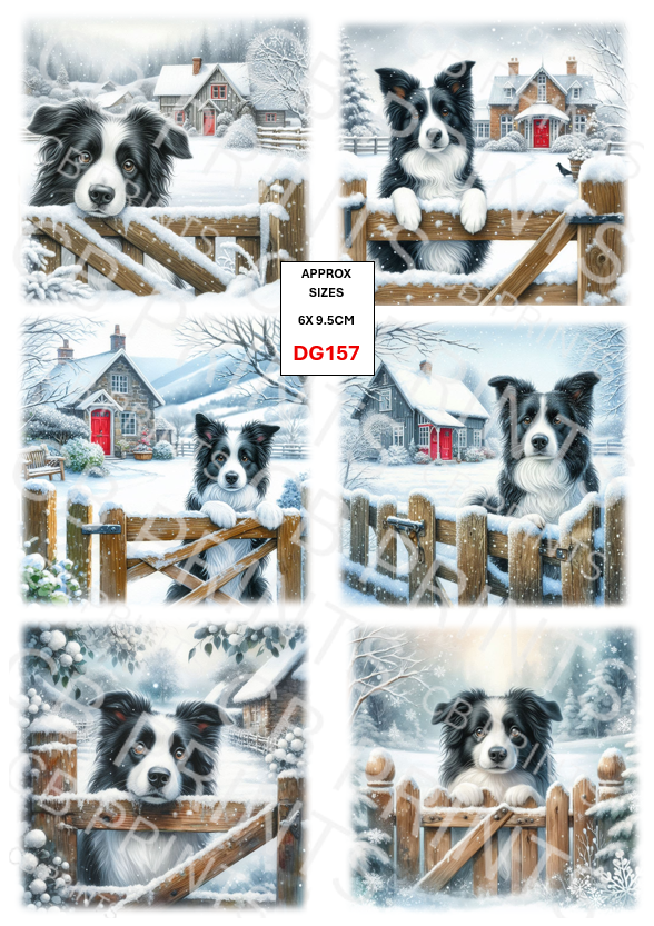 Border collie Dog Decoupage Print DG157 | Mulberry Paper