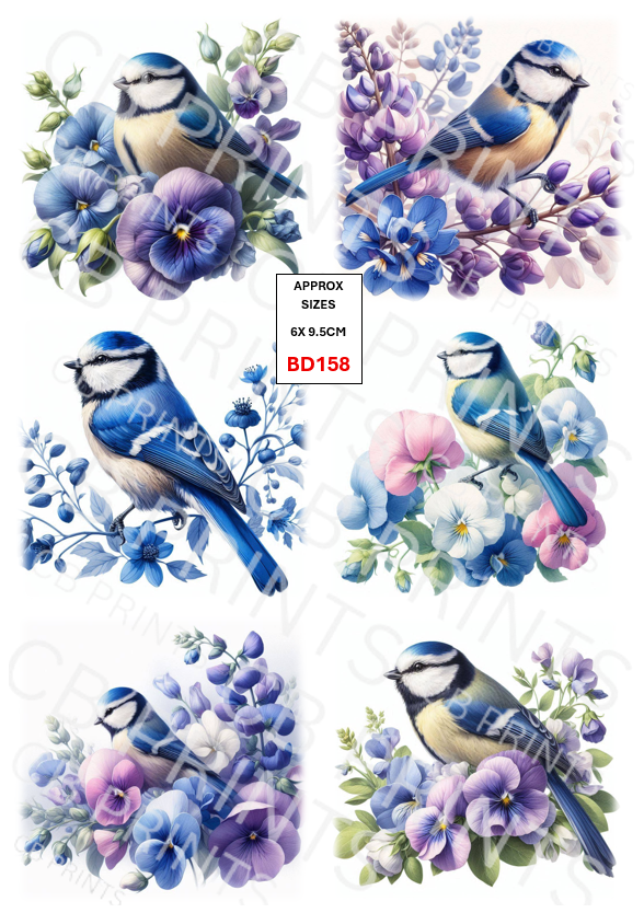 Blue tit Bird Decoupage Print BD158 | Mulberry Paper