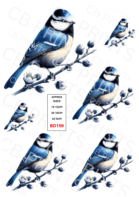 Blue tit Bird Decoupage Print BD159 | Mulberry Paper
