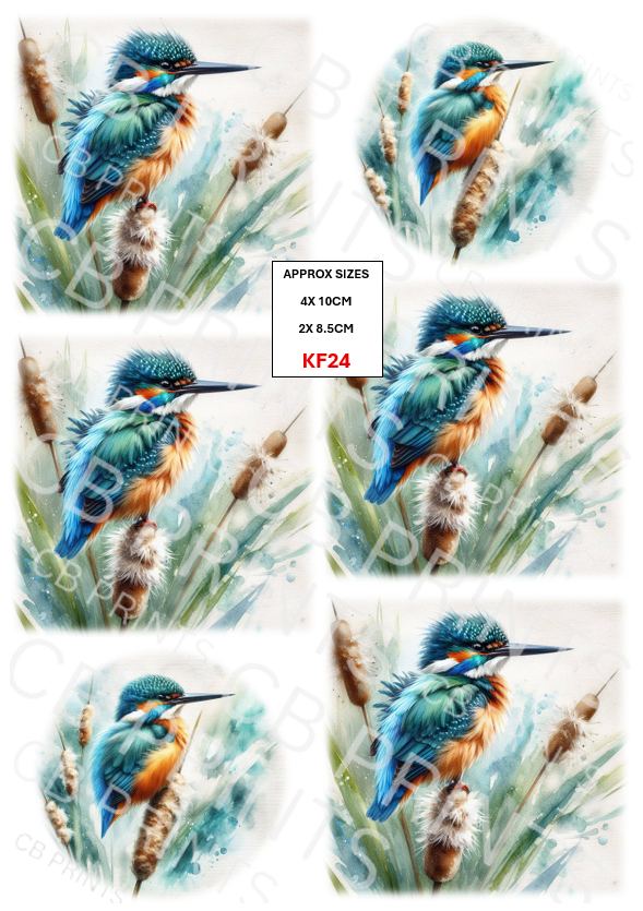 Kingfisher Decoupage Print KF24 | Mulberry Paper