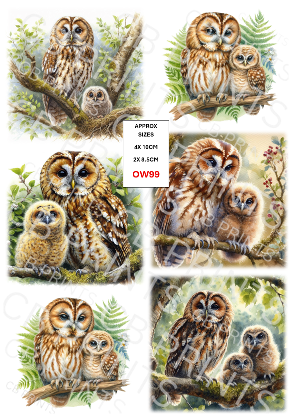 Owl Decoupage Paper Print OW99 – Mulberry Paper