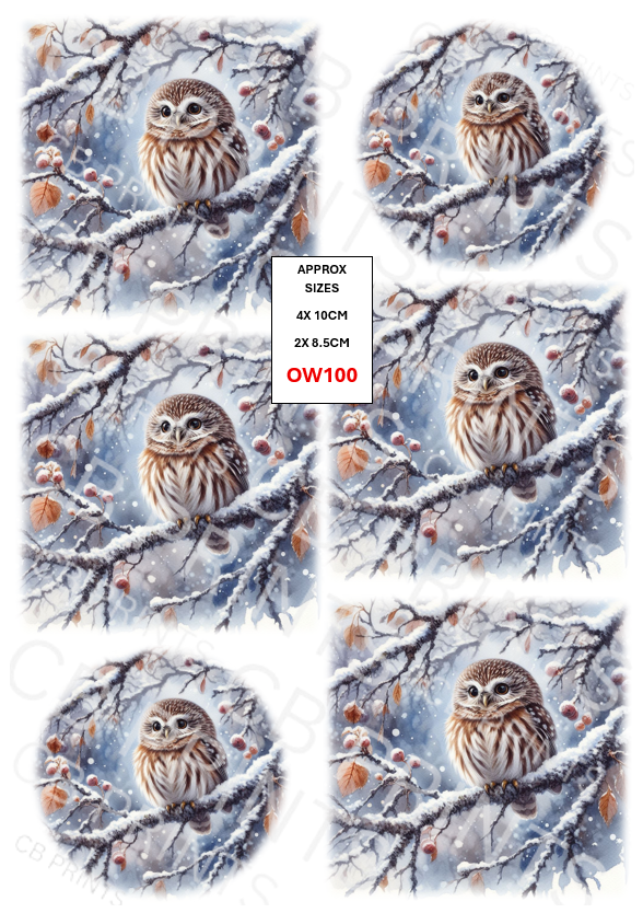 Owl Decoupage Paper Print OW100 – Mulberry Paper