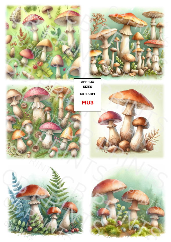 Mushroom & Toadstool Decoupage Paper Print MU3 | Mulberry Paper