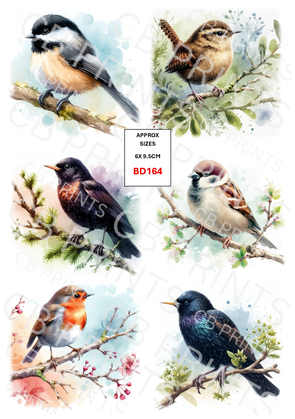 Bird Decoupage Print BD164 | Mulberry Paper