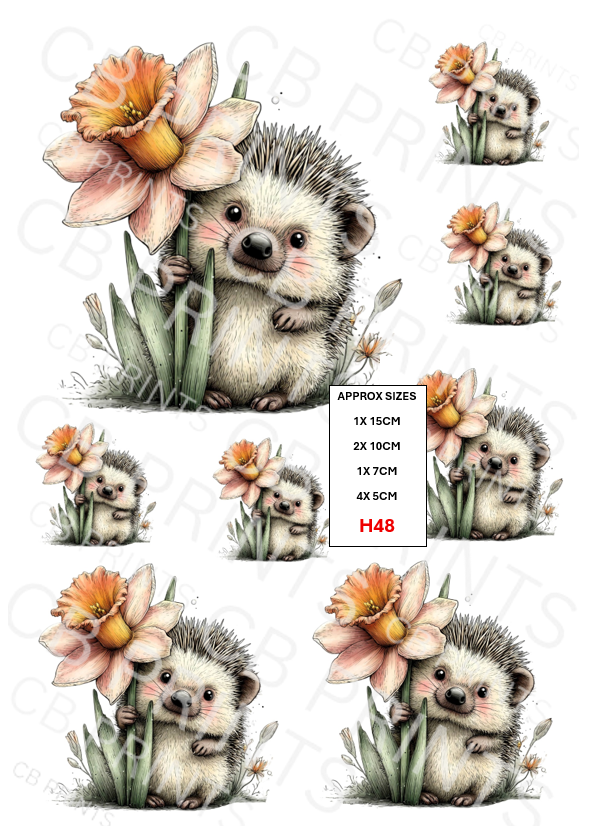 Hedgehog Decoupage Print H48 | Mulberry Paper