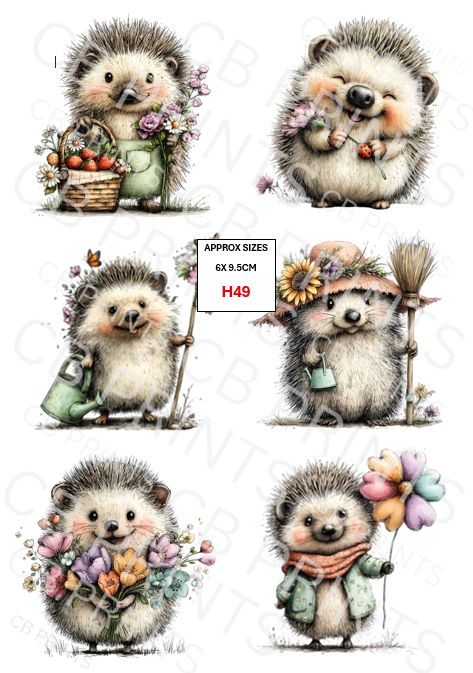 Hedgehog Decoupage Print H49 | Mulberry Paper