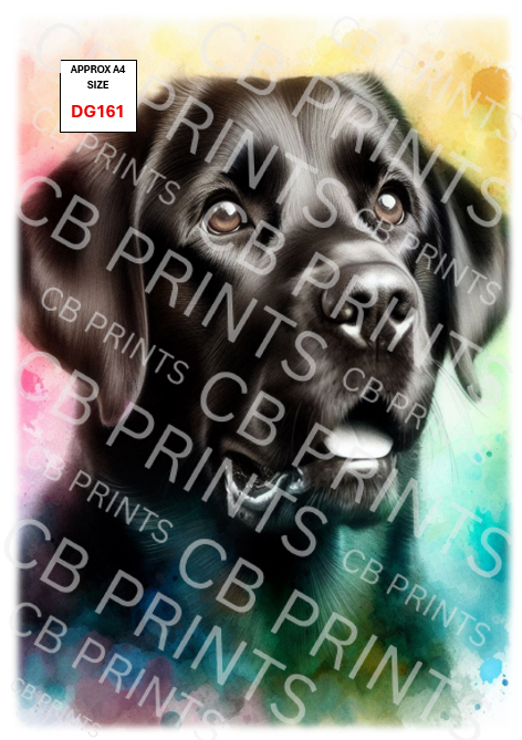 Labrador Dog Decoupage Print DG161 | Mulberry Paper