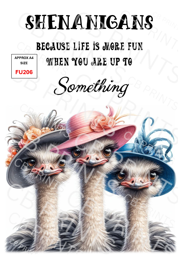 Funny Decoupage Print FU206 | Mulberry Paper