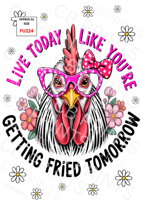 Funny Decoupage Print FU224 | Mulberry Paper