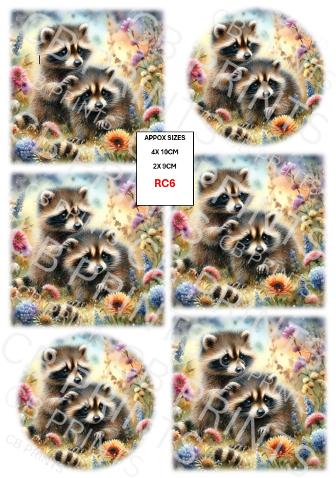 Raccoon Decoupage Paper Print RC6 – Mulberry Paper