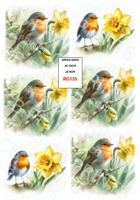 Robin Decoupage Print RO135 | Mulberry Paper