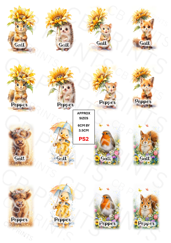 Salt and Pepper Pot Decoupage Paper PS2 – Mulberry Paper Print