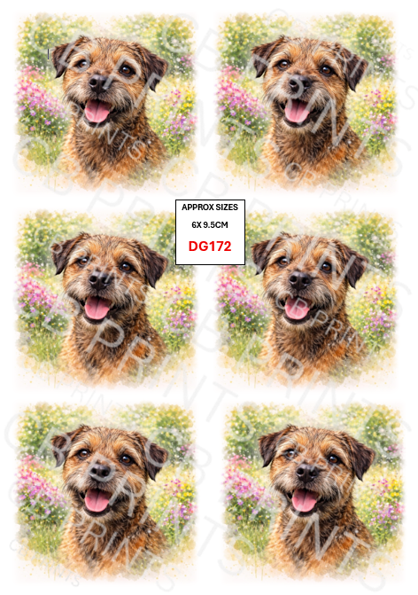 Border terrier Decoupage Print DG172 | Mulberry Paper