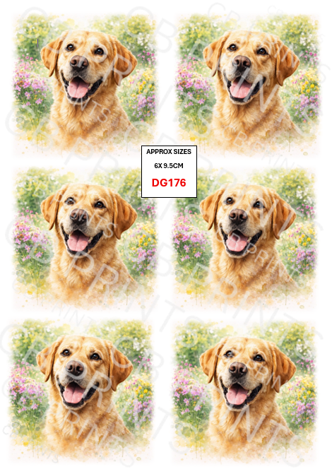 Labrador Dog Decoupage Print DG176 | Mulberry Paper