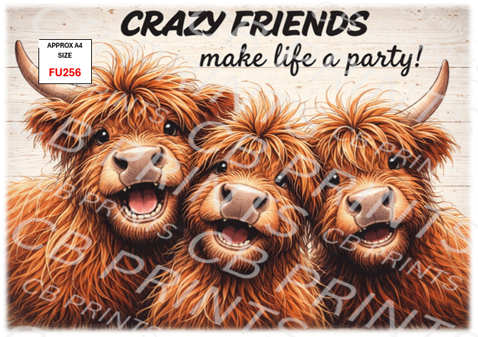 Funny Decoupage Print FU256 | Mulberry Paper