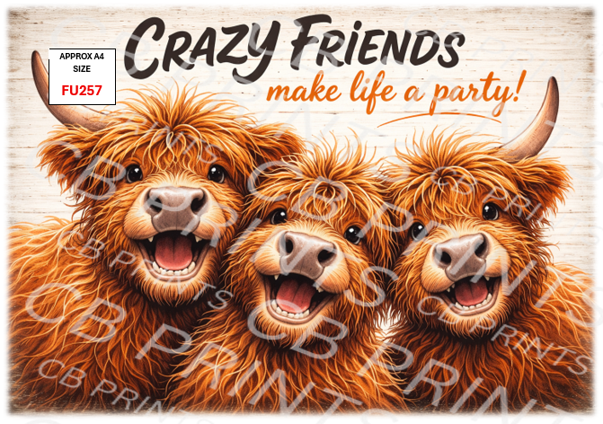 Funny Decoupage Print FU257 | Mulberry Paper