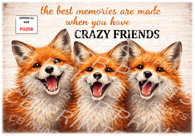 Funny Decoupage Print FU258 | Mulberry Paper