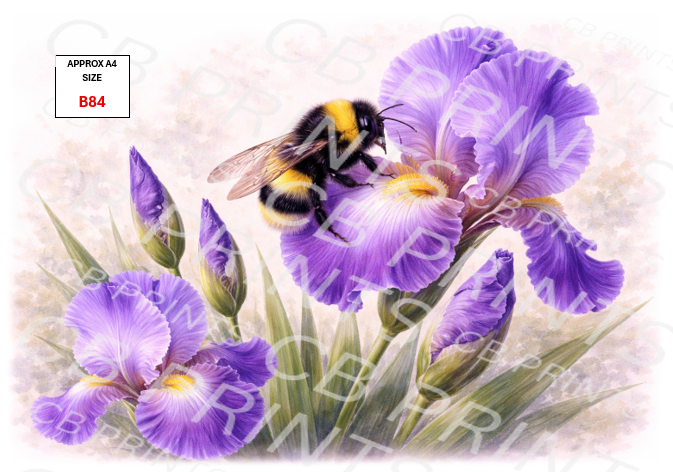 Bee Decoupage Print B84 | Mulberry Paper