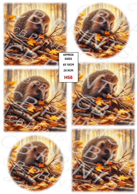 Hedgehog Decoupage Print H58 | Mulberry Paper