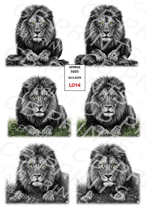 Lion Decoupage Print LO14 | Mulberry Paper