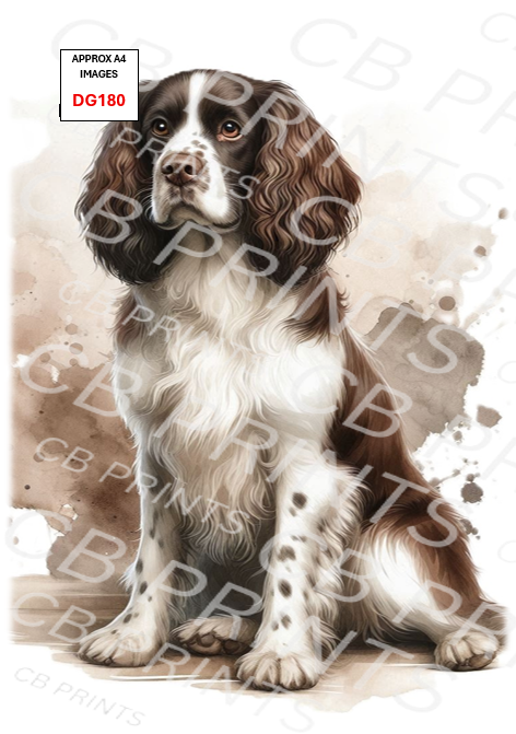Spaniel Dog Decoupage Print DG180 | Mulberry Paper