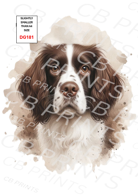 Spaniel Dog Decoupage Print DG181 | Mulberry Paper