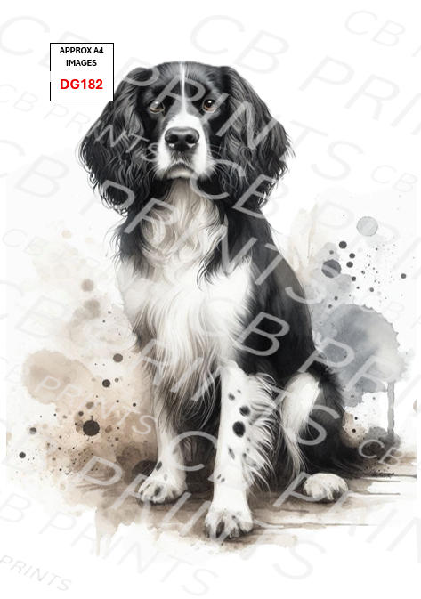 Spaniel Dog Decoupage Print DG182 | Mulberry Paper