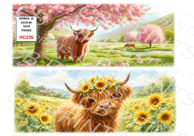 Highland Cow Decoupage Print HC235 | Mulberry Paper