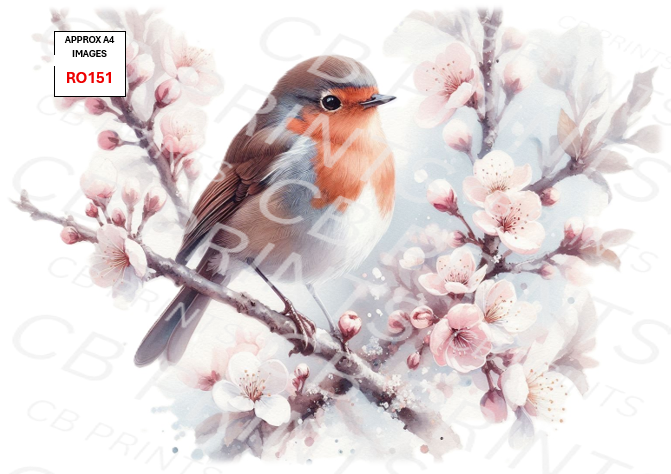 Robin Decoupage Print RO151 | Mulberry Paper