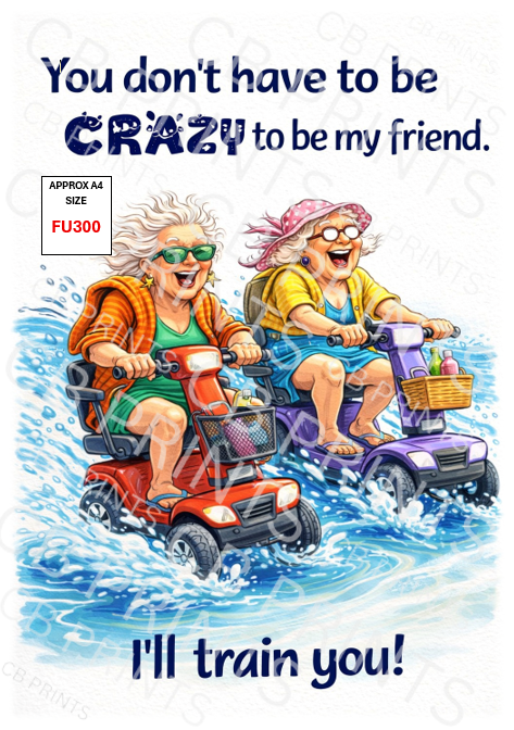 Funny Decoupage Print FU300 | Mulberry Paper