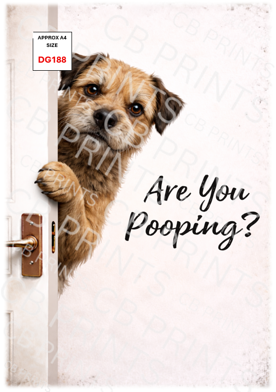 Funny Border terrier dog design DG188