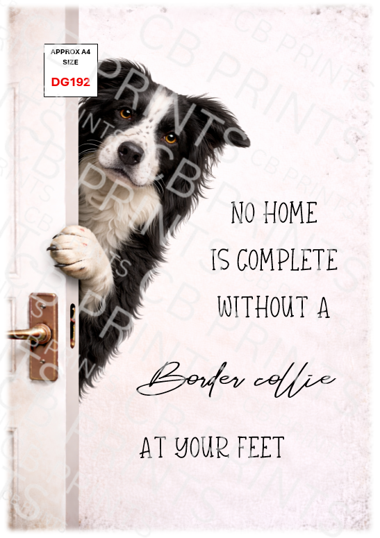 Dog design DG192