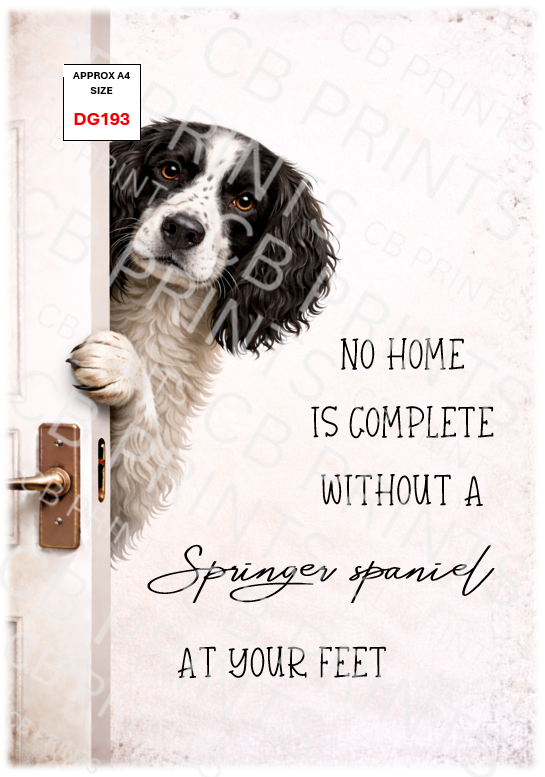 Dog design DG193