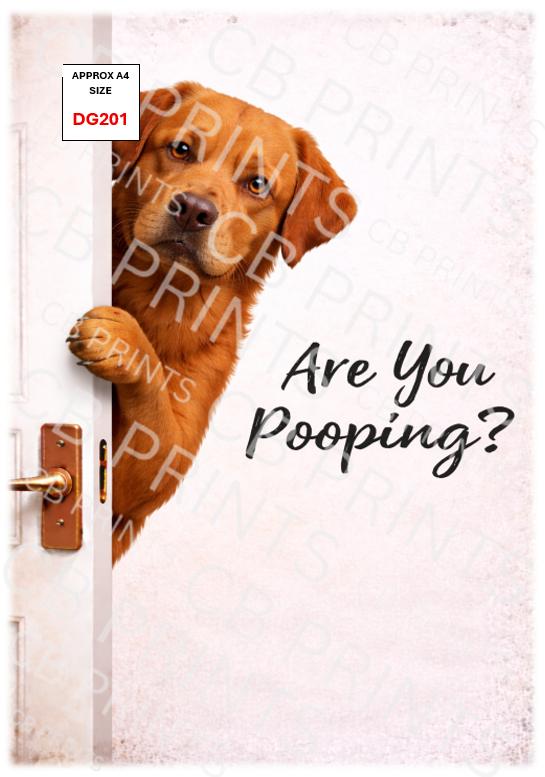 Funny dog design DG201