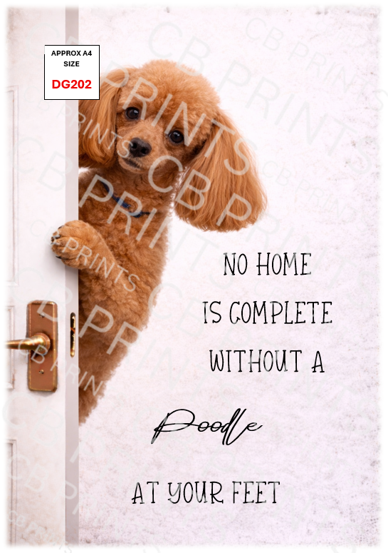 Dog design DG202