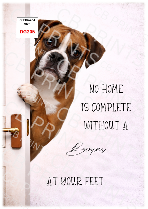 Dog design DG205
