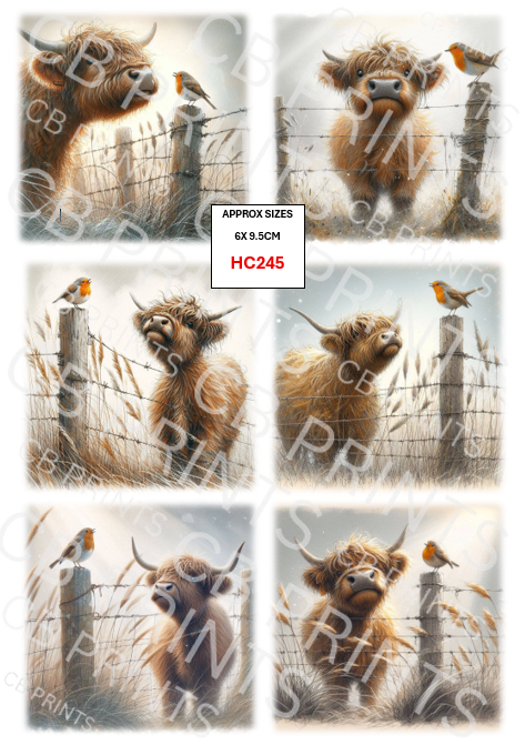 Highland Cow Decoupage Print HC245 | Mulberry Paper