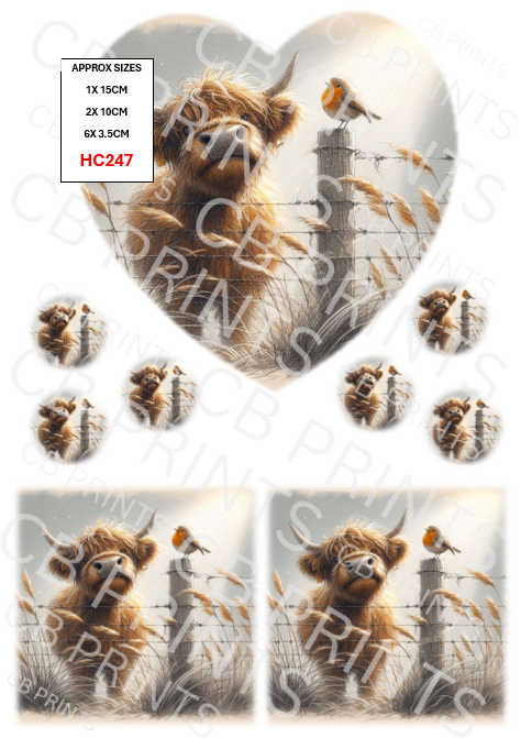 Highland cow design HC247